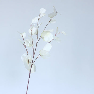 'Hellai' Leaves-Plants-White-1pc-Flower, Plants-Artes Designs
