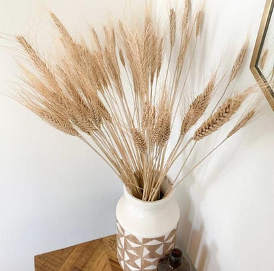 'Whopi' Wheat Bouquet-Pampas-Natural-30pcs-Plants-Artes Designs