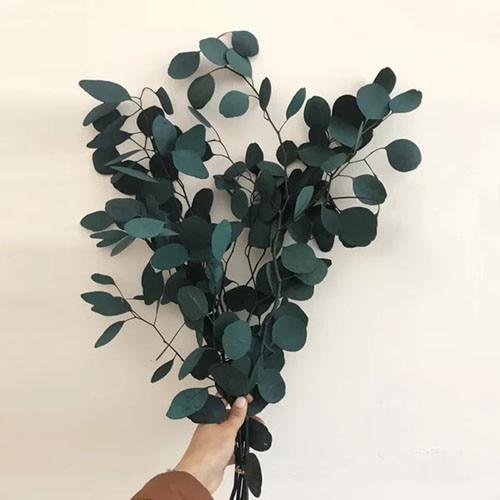 'Hellai' Leaves-Plants-Dark Green-1pc-Flower, Plants-Artes Designs