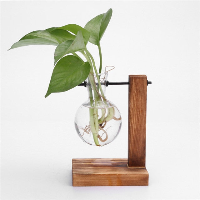Hydropo Terrarium Vase-Plants Pots-Dark Stand-Small-Plants Pots, Vases-Artes Designs