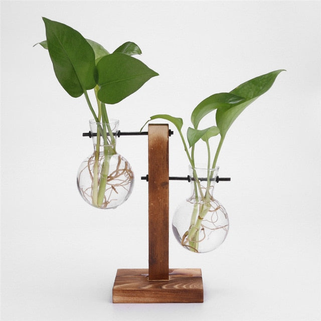Hydropo Terrarium Vase-Plants Pots-Retro Stand-Medium-Plants Pots, Vases-Artes Designs