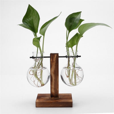 Hydropo Terrarium Vase-Plants Pots-Dark Stand-Medium-Plants Pots, Vases-Artes Designs