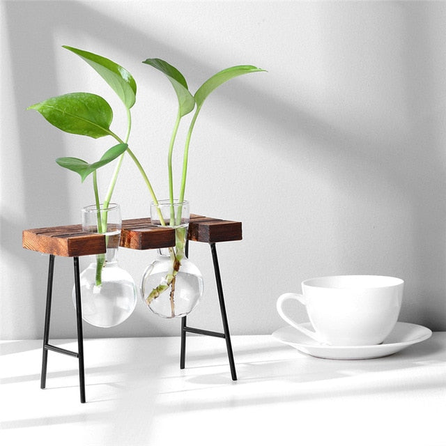 Hydropo Terrarium Vase-Plants Pots-Dark Table-Medium-Plants Pots, Vases-Artes Designs