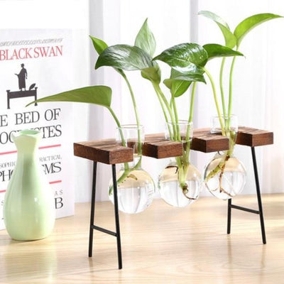 Hydropo Terrarium Vase-Plants Pots-Dark Table-Large-Plants Pots, Vases-Artes Designs