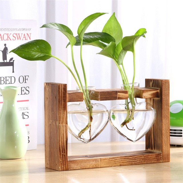 Hydropo Terrarium Vase-Plants Pots-Dark Heart-Medium-Plants Pots, Vases-Artes Designs