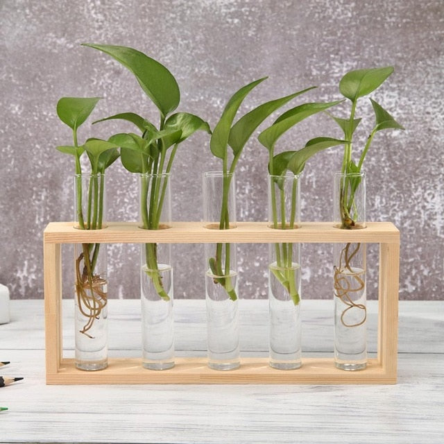 Hydropo Terrarium Vase-Plants Pots-Natural Classic-Extra Large-Plants Pots, Vases-Artes Designs