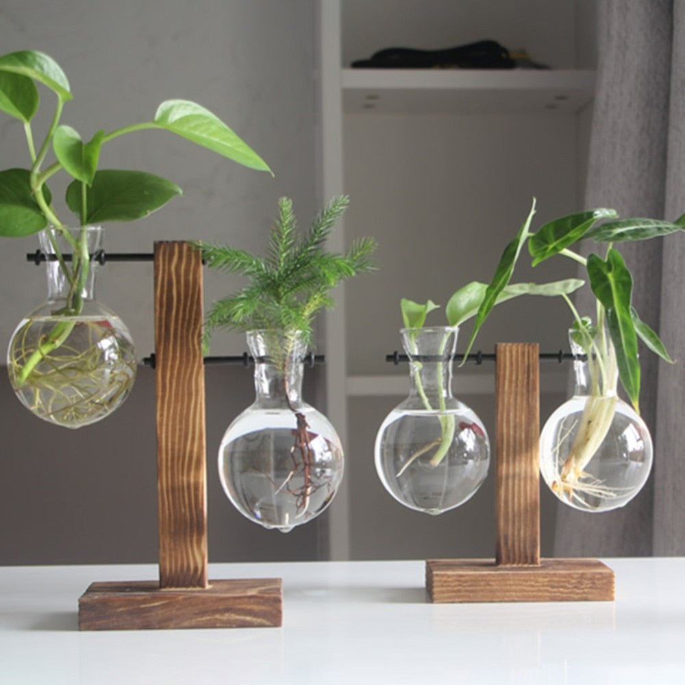 terrarium hydroponic plant vases Hydropo Terrarium Vase – Artes Designs