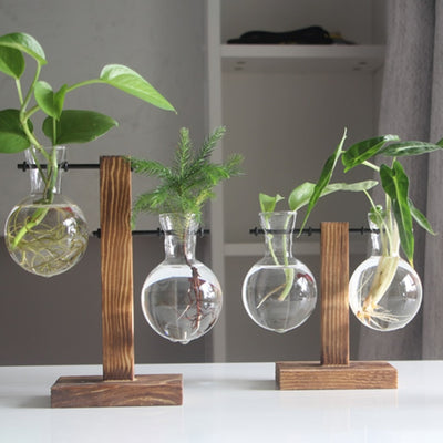 Hydropo Terrarium Vase-Plants Pots-Light Natural-Small-Plants Pots, Vases-Artes Designs