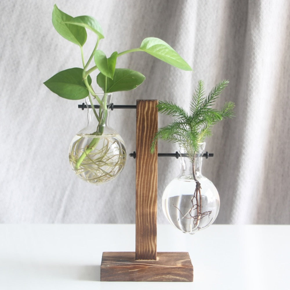 Hydropo Terrarium Vase-Plants Pots-Light Natural-Small-Plants Pots, Vases-Artes Designs