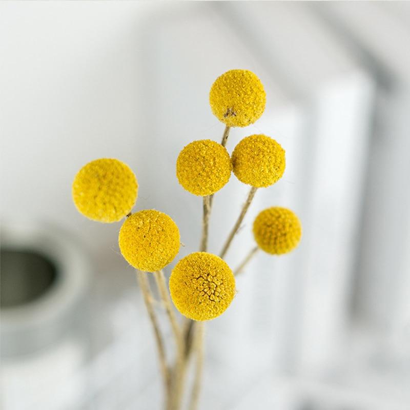 'Orbs' Flower-Plants-Yellow-10pcs-Flower, Plants-Artes Designs