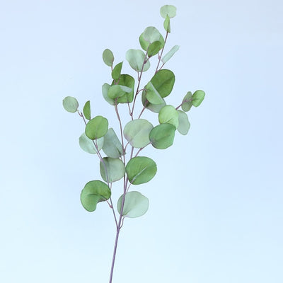 'Hellai' Leaves-Plants-Light Green-1pc-Flower, Plants-Artes Designs