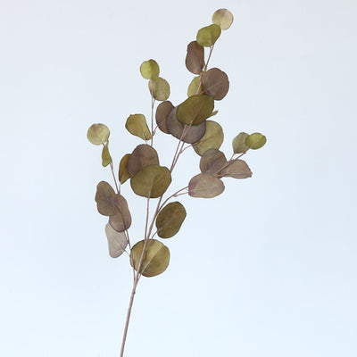 'Hellai' Leaves-Plants-Autumn Green-1pc-Flower, Plants-Artes Designs